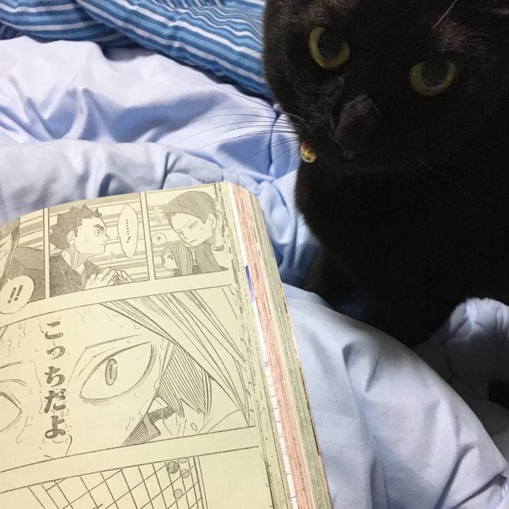 Cbbf8692 11f5 4a50 be5d 8ec2b482c1ab