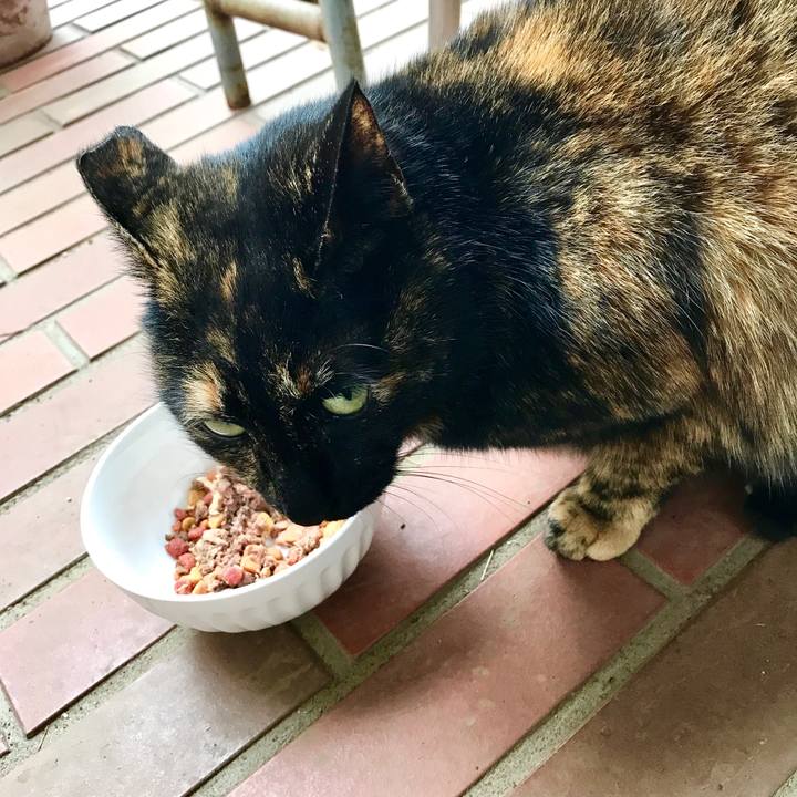 Cbc0a964 a4ff 4cf6 aa39 a9d6a0821062