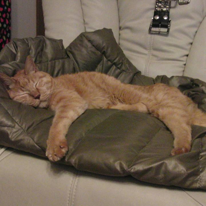 Cbc0c105 68c8 48d1 b2b8 64c45c87bbb7