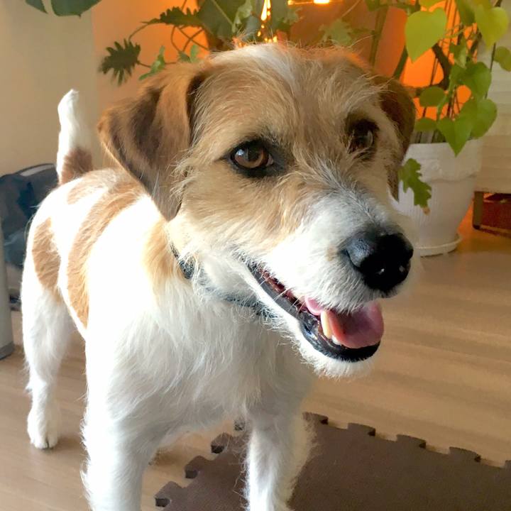 Cbc0f171 cc13 43fd a5d5 8bd98617b9dd