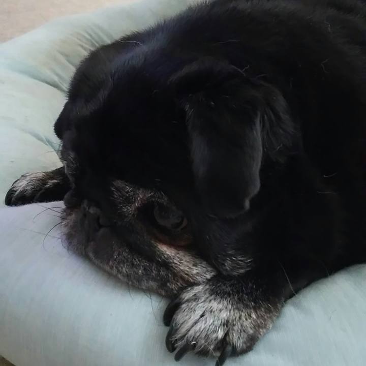 Cbc14960 0068 4116 a544 4e5310dfe395