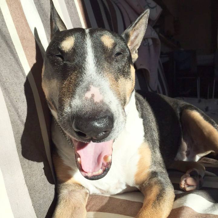 Cbc1651e de53 41fc b258 fd95efc21369