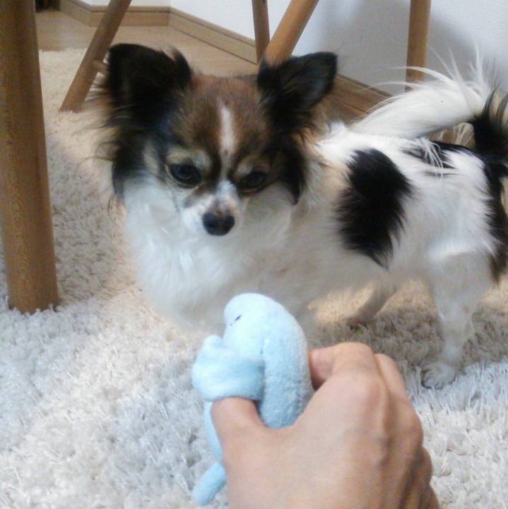 Cbc1a04a 968c 4ace 9579 8de3385eccca