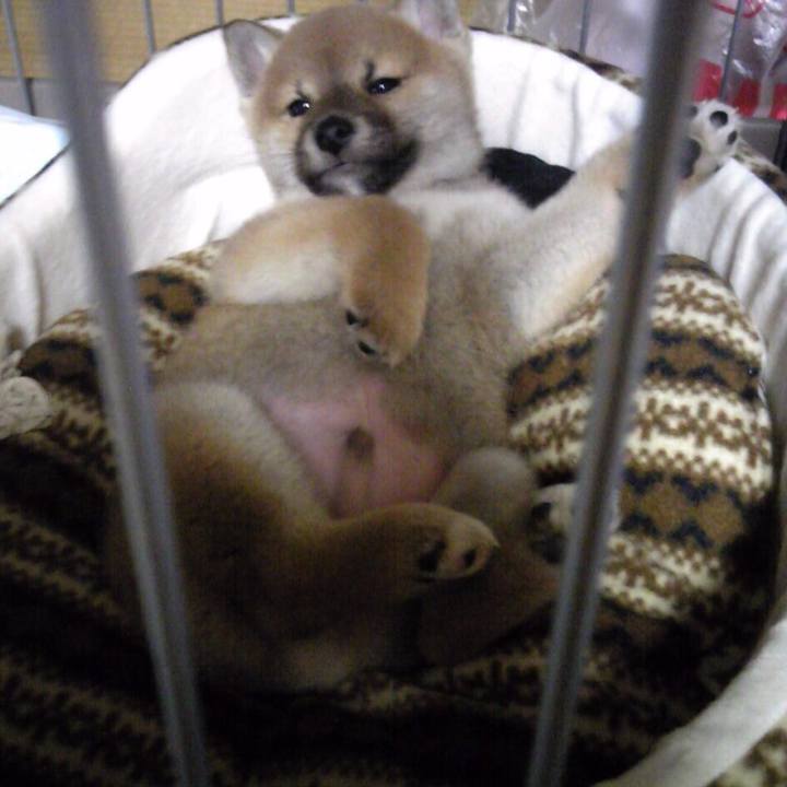 Cbc1b893 211d 4d93 963a d2ec9c251c97