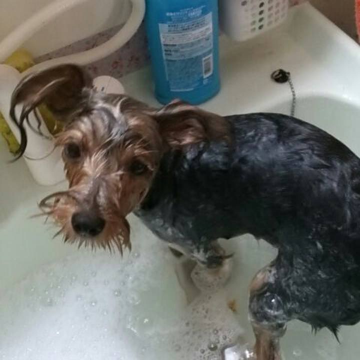 Cbc2b795 a8ed 4aa2 be15 13e514a1c66e