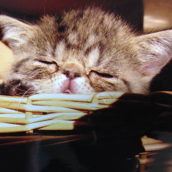 Cbc30d00 2a23 4070 aacf e491ca1761dc