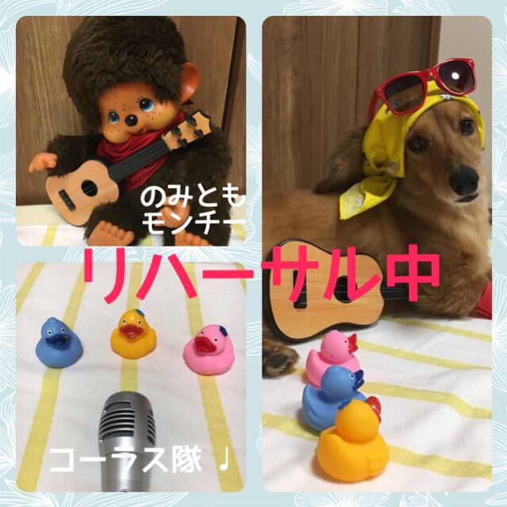 Cbc35c77 138e 491f b000 d8f827795acb