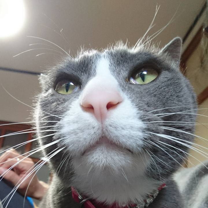 Cbc3bbac 8206 49fa 9bdf 483f114f9810