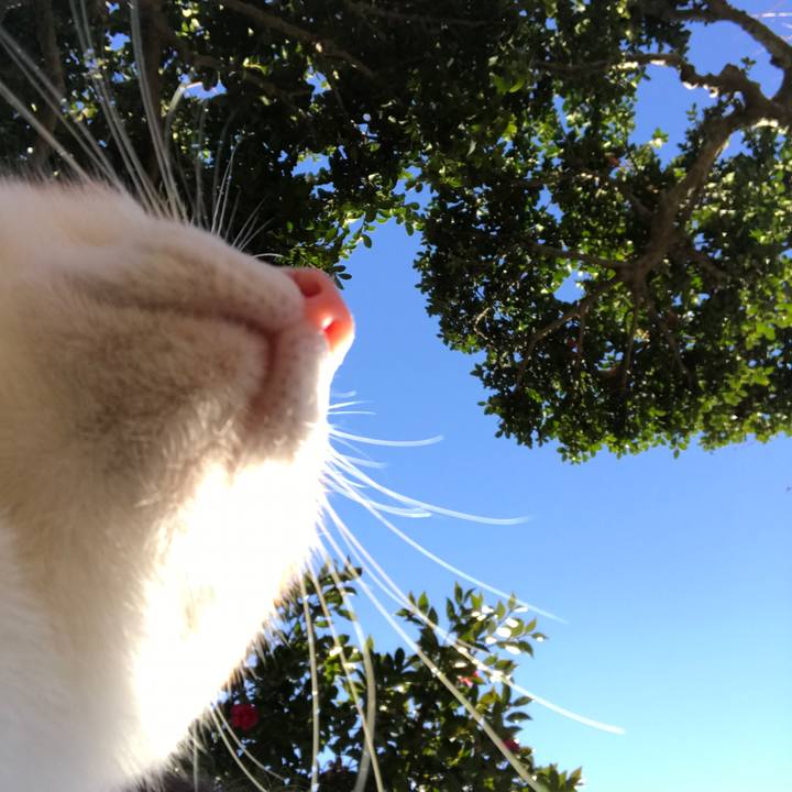 Cbc3bdd7 e658 4037 bc22 513a15c89078