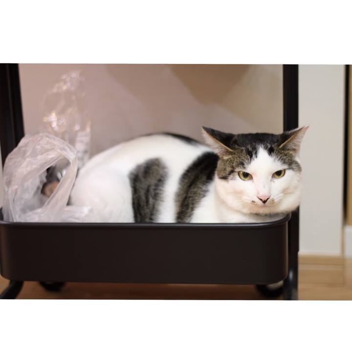 Cbc3c722 e0e0 4a74 aada 7fda4f8930c0