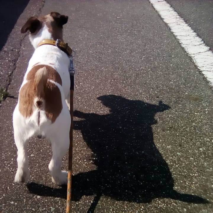 Cbc3ecd6 0a00 46b8 951f ce329c484793