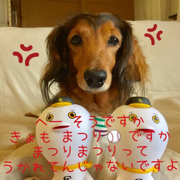 Cbc40896 1b00 4f58 9109 2a53b1c92a2f