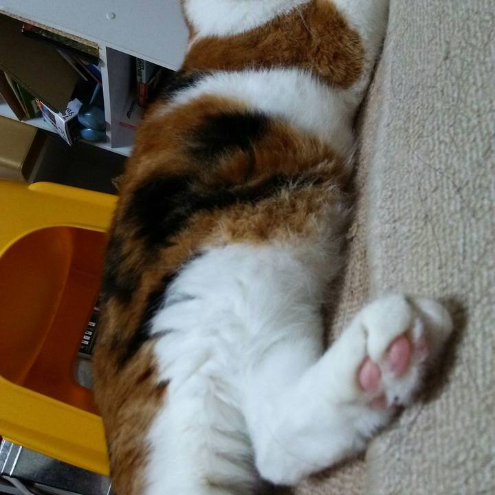 Cbc45409 c994 453e ae30 332d5e7dcdb1