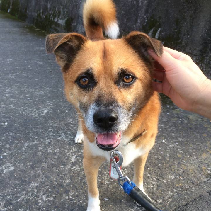 Cbc46580 3cb6 4312 afa0 e547ab42d02e