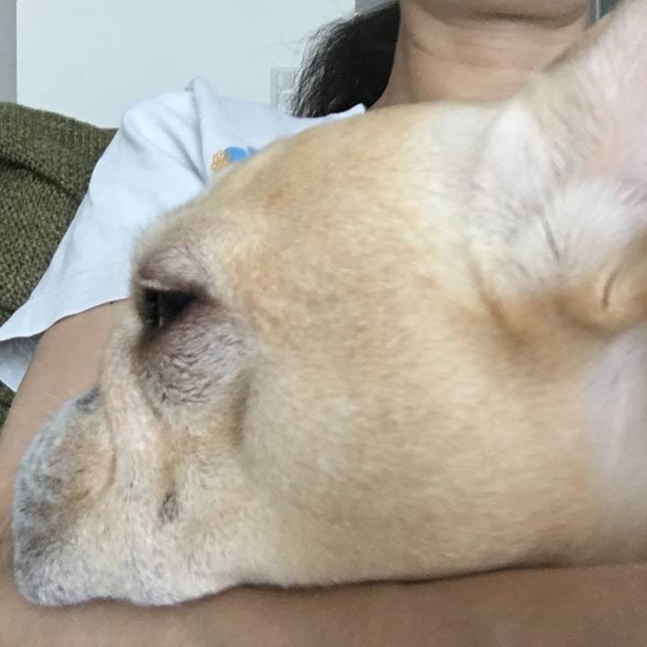 Cbc47f1a 1a4a 4e0f bccc 5f20099bfc46