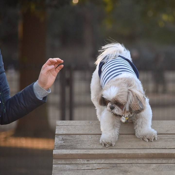 Cbc5441d e217 4276 b541 71a7c72a5c23