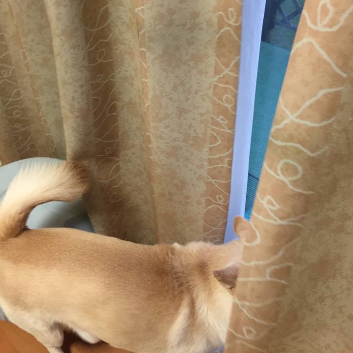 Cbc5bad8 3aa1 46a5 908c eb1cbe3bd114