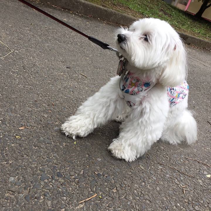 Cbc5e4be b4d8 4e7f baf0 4314560e3ebe