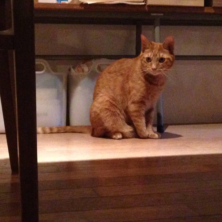 Cbc60b5b 4cfb 423d 8318 4a7e587c6ba9