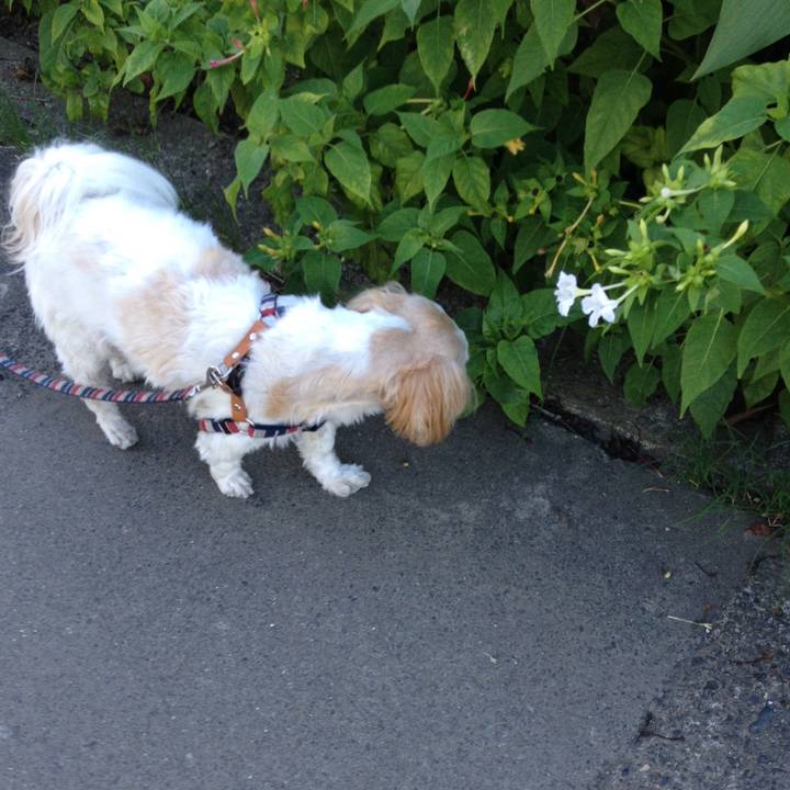 Cbc63ef7 2d61 4f86 bcc8 842a87ece275