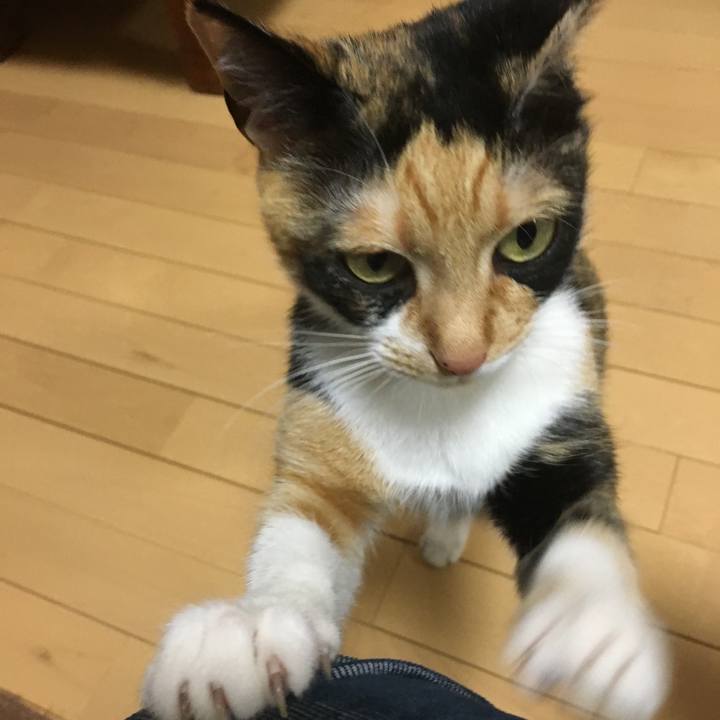 Cbc6a0d5 e750 47f8 94e4 e7fa67726214