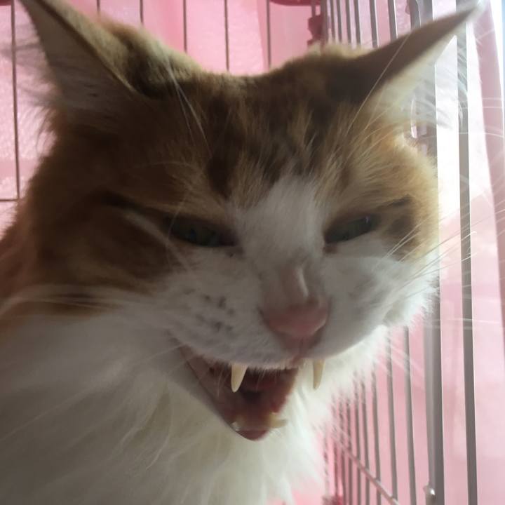 Cbc6a3e1 a523 4b7c 9777 8276384450ee