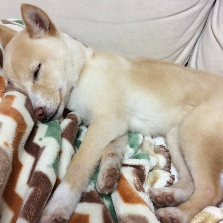 Cbc6a9b1 7848 4bb9 b054 d568ef317179