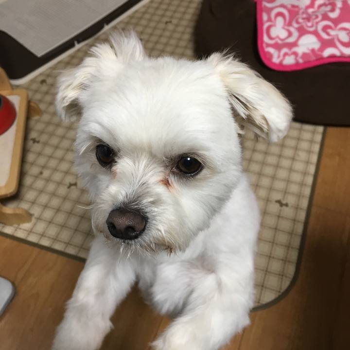 Cbc6f64d ecec 43bf a8e7 9bd0d07485fd