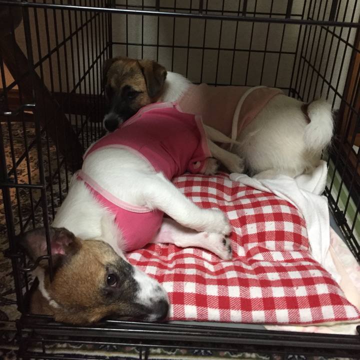 Cbc725b7 486f 4846 a16f ccf156fded50