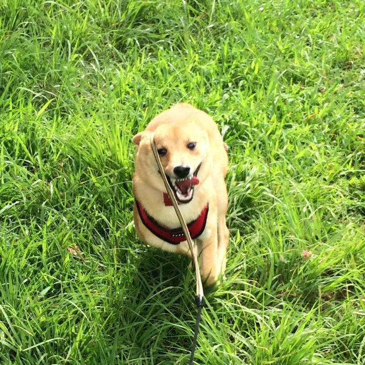 Cbc7ed2a f582 4ae7 9db4 6c86df2291fc