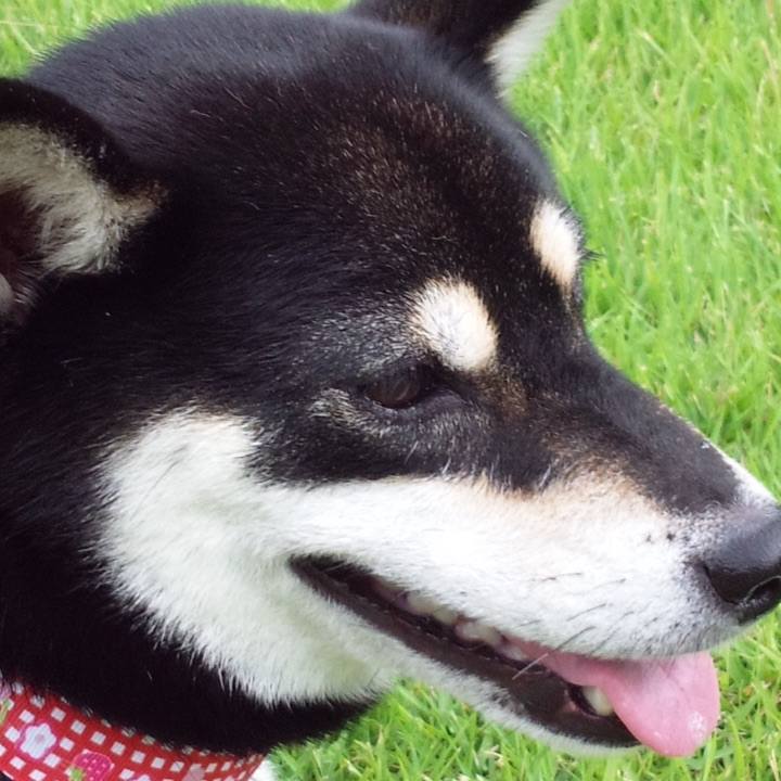 Cbc805f7 7869 498e b324 00e77aafefb3