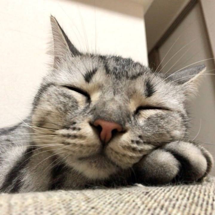 Cbc873c4 9131 44a9 b084 91f0a61d5f66