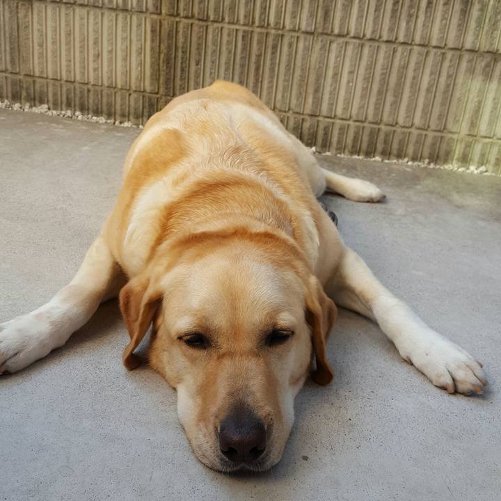 Cbc8d92d bbad 40ad beb2 6f77604b1e56