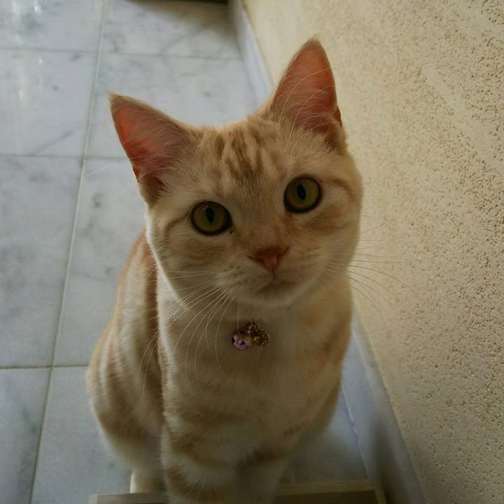 Cbc941e0 84c8 4d71 b6fc d1ef9b7637fd