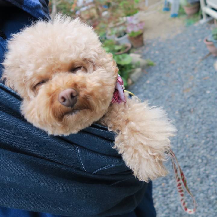 Cbc9969b 74a5 4bd4 a8e7 ac4b0b3148af