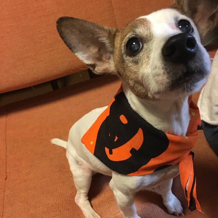 Cbcaefa7 484a 47b2 a065 4f6377086e2a