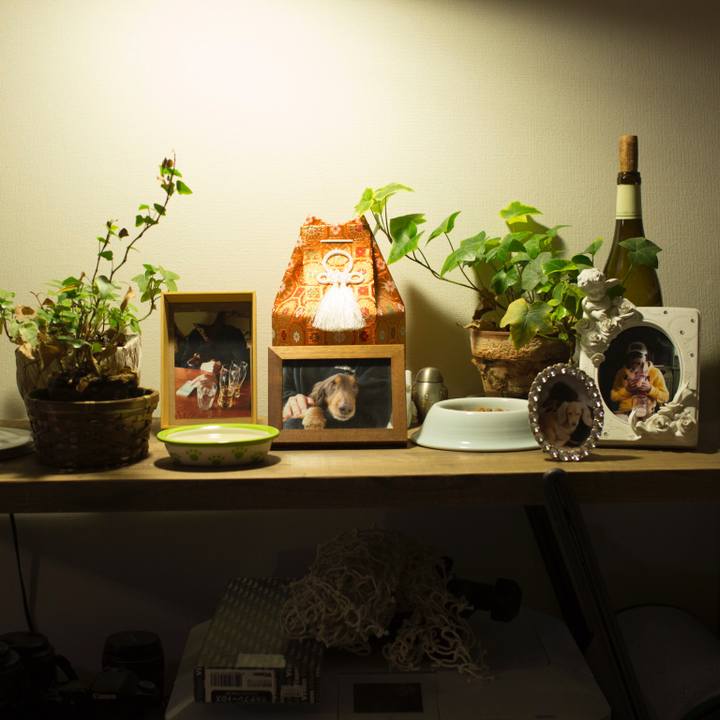 Cbcb1cbf 14da 4b04 88e8 b608521e2230