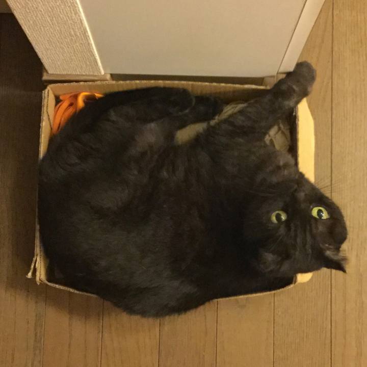 Cbcb6dbe e732 414a bb62 12574266783f