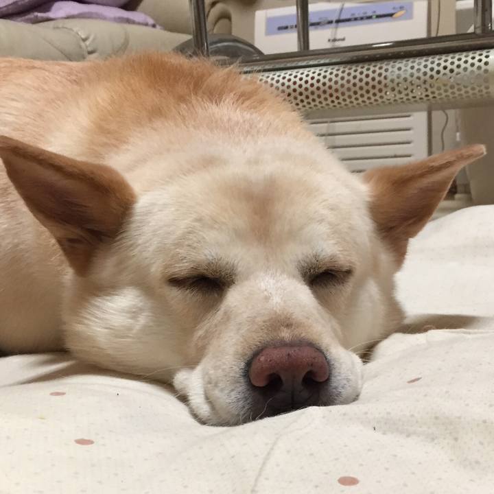 Cbcc50dd f1de 48e3 8b34 724c5c8bbee7