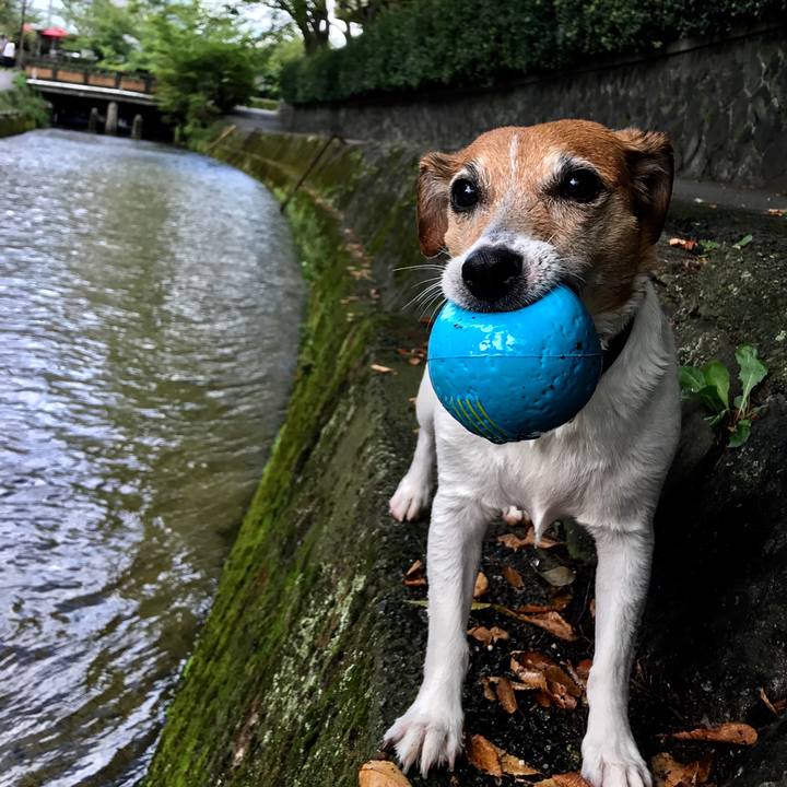 Cbcc5b2d e802 4d67 aba4 1e5eb39f7ce9