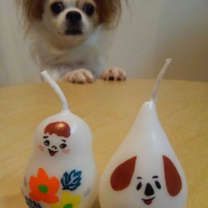 Cbccb65a bc00 4415 b02a ebc49c2cdb20