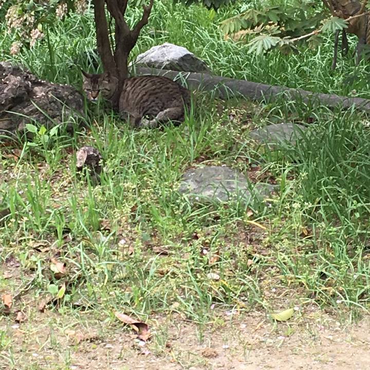 Cbcd362a 83b4 4ac9 b82b 899d98a5e0bb