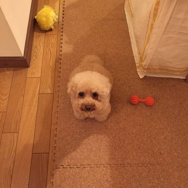 Cbce1b5b 11a1 4d84 9007 f90d12edee2f