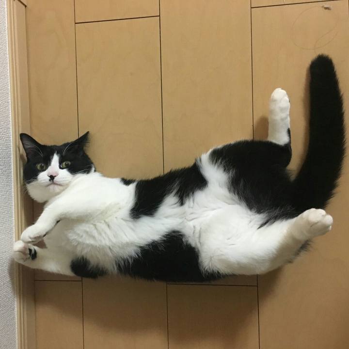 Cbce2007 d15e 43af 8bd4 f2f7039f1801