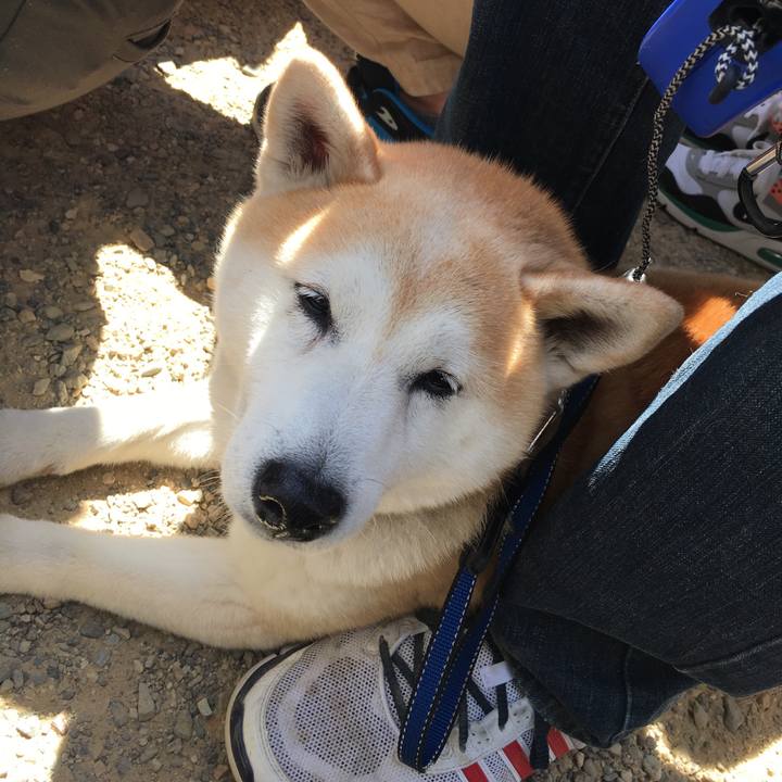 Cbce4df0 14b8 4501 a957 829726f29f90