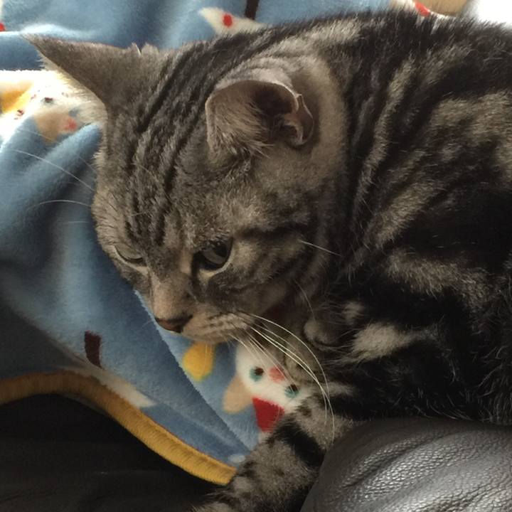 Cbcef7d2 ae51 41d0 af60 b9a15bf338e1