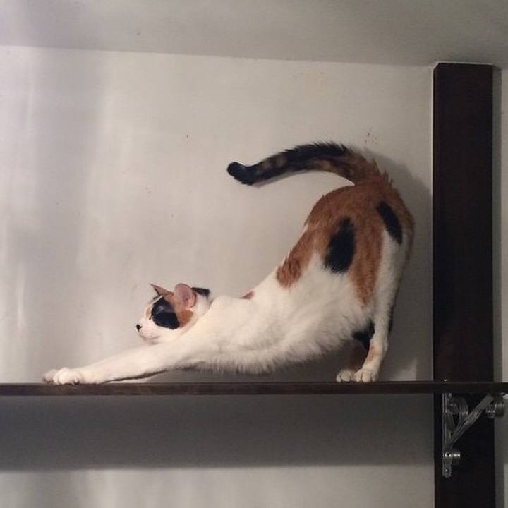 Cbcf2842 27dd 4354 a056 03c0cf74a4da