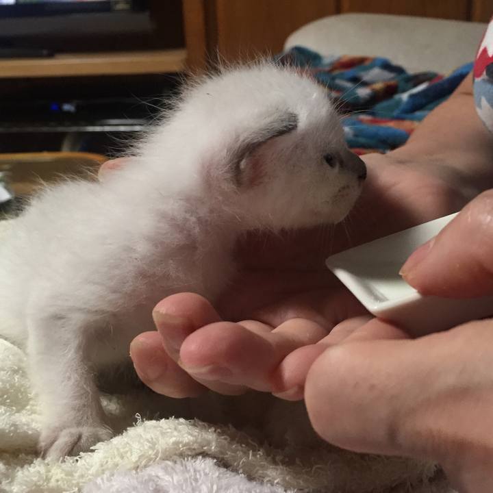 Cbcf7475 04bd 4e27 b255 e469bfd03452