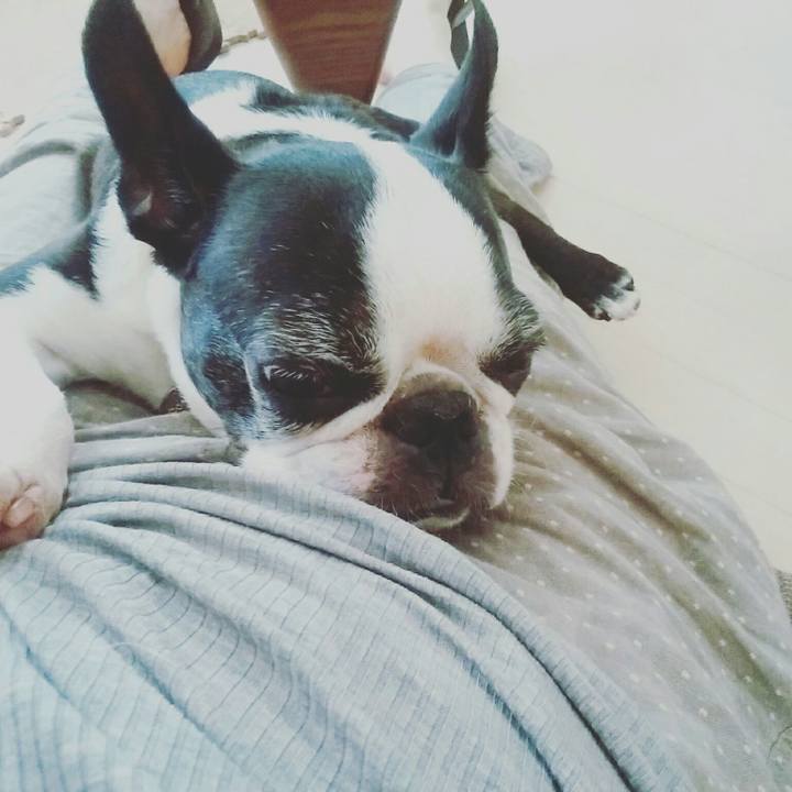 Cbcf9af7 a99a 421f 9986 3fde3b6ac5a0