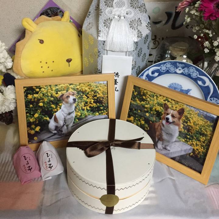 Cbcfdc96 db1a 4ec6 b207 2d23b4cc66cf